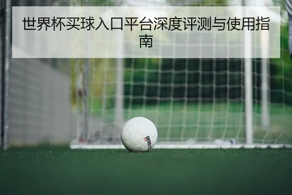 世界杯买球入口平台深度评测与使用指南